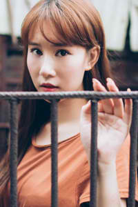 图片区小说区视频区